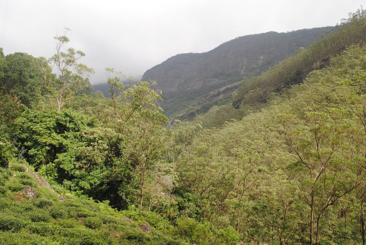 Mountain Villa Adam'S Peak 날라탄니야 외부 사진